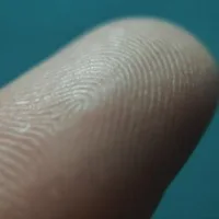 Finger