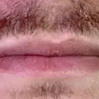 Lip