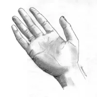 Palm