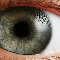 Pupil