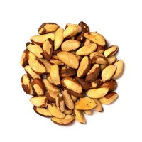 Brazil Nut