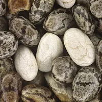 Chia Seeds
