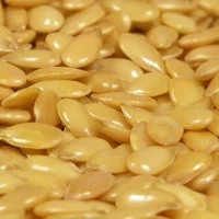 Flax Seeds