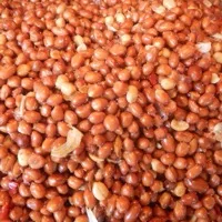 Peanut