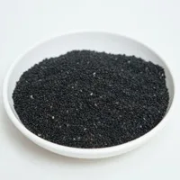 Sesame Seeds