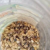 Watermelon Seeds