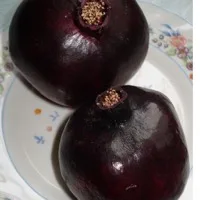 Pomegranate