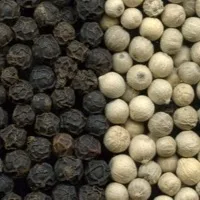 Black Pepper