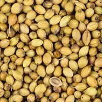 Coriander Powder