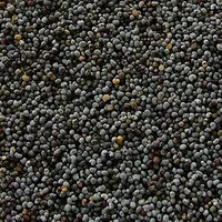 Poppy Seeds