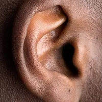 Ear