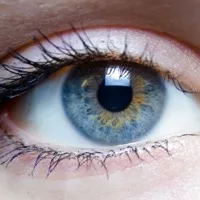 Eye