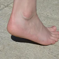 Heel