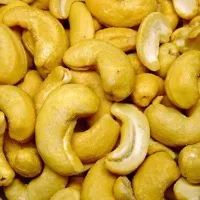 Cashew
