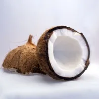 Dried Coconut