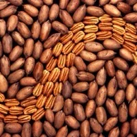 Pecan