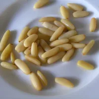 Pine Nut