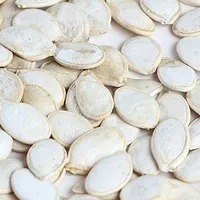 Pumpkin Seeds