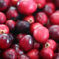 Cranberry
