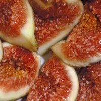 Fig