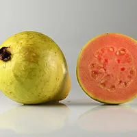 Guava