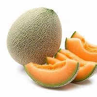 Melon