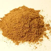 Garam Masala
