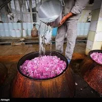 Rose Water
