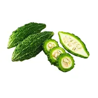 Bitter Gourd