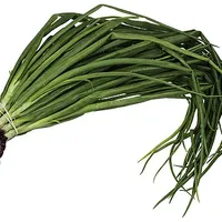 Green Onion
