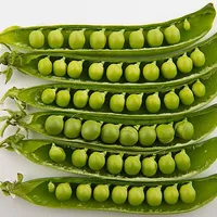 Peas